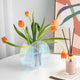 Plexiglass acrilico trasparente a strisce blu da 1/8