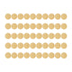 Blank Commemorative Coins (5pcs)