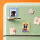 xTool Selected Acrylic Fridge Magnet (20pcs)