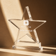 xTool Selected Star-Shaped Acrylic Trophy (2pcs)