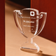 xTool Selected Trophy-Shaped Acrylic Award (2pcs)