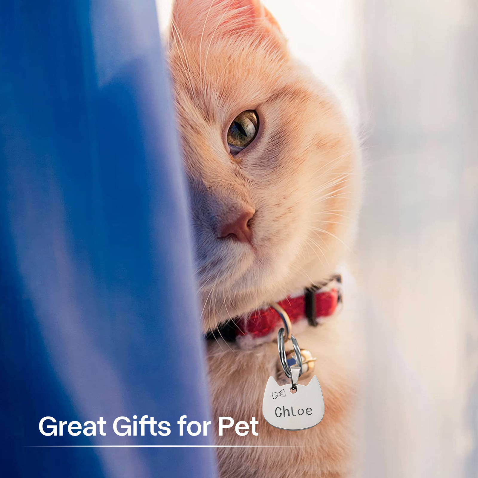 Stainless Steel Cat Tag (10pcs)